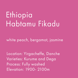 Ethiopia Habtamu Fikadu